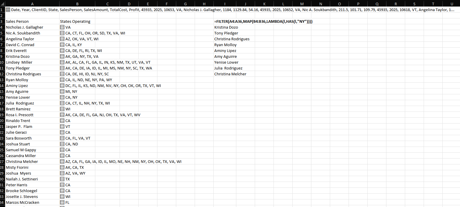 FILTER result listing salespeople with New York in their in-cell state lists