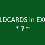 excel wildcard