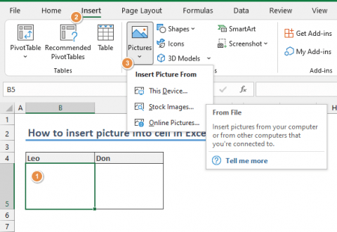 insertpicture in excel cell